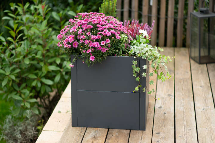 WESTMANN Pflanzkübel Talus